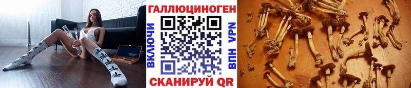 Псилоцибиновые грибы ЛСД Саров