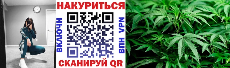 mega маркетплейс  купить  сайты  Саров  Шишки марихуана семена 